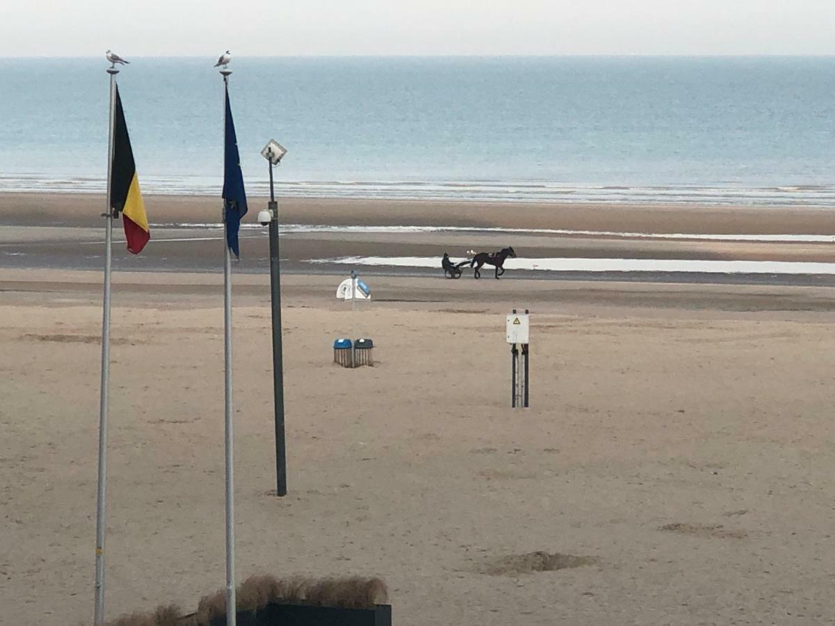 Residentie Albert-1, App.202, Zeelaan 214 De Panne Dış mekan fotoğraf
